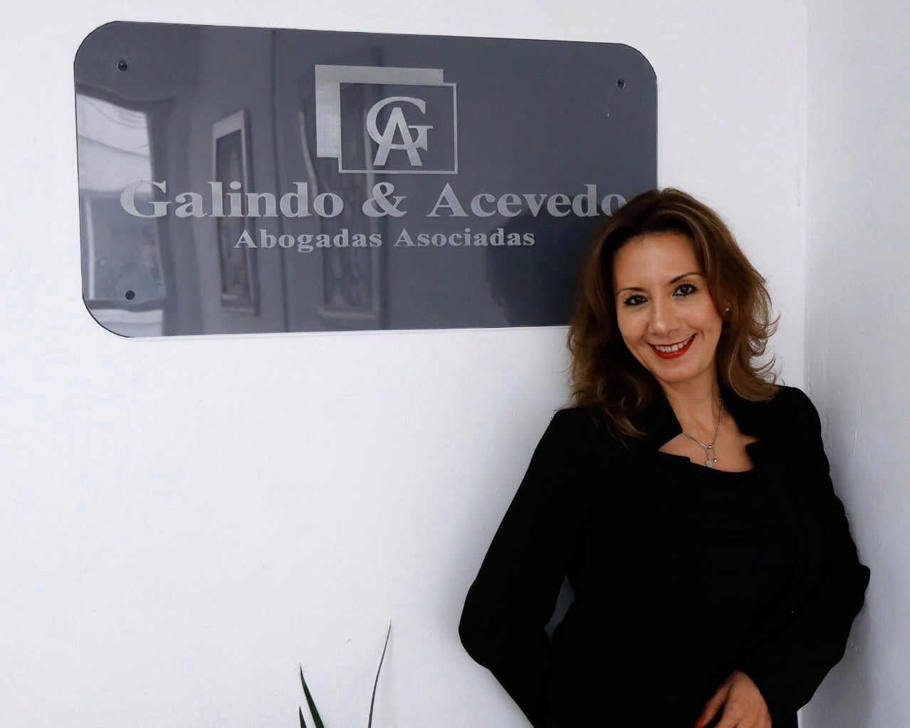 Nelly Galindo Tapia Abogada